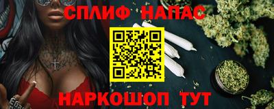гашик Донецк