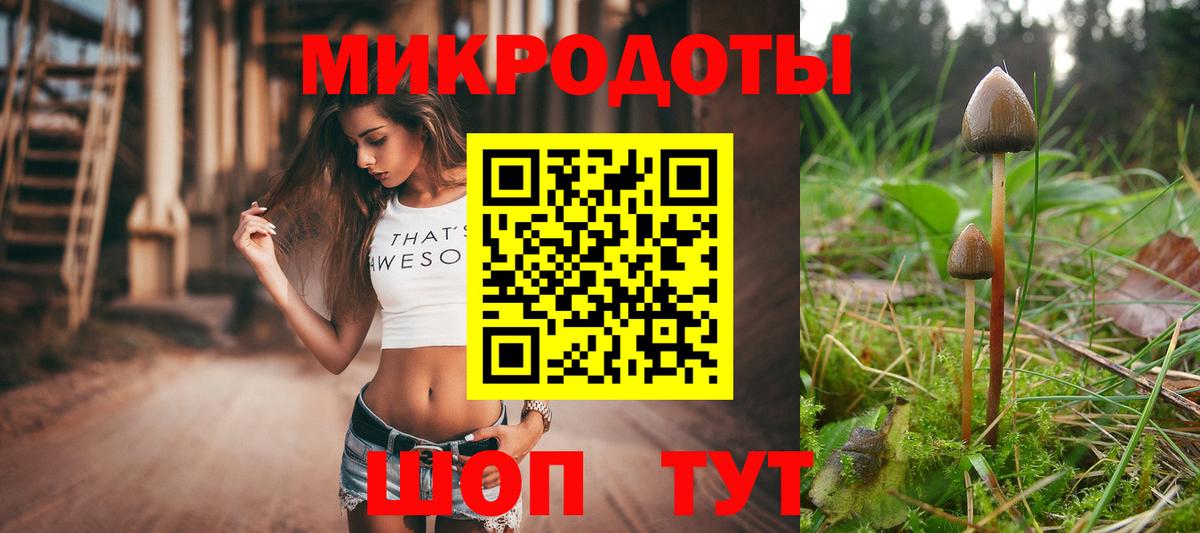 Галлюциногенные грибы MAGIC MUSHROOMS  Галлюциногенные грибы Psilocybine cubensis  Назарово  Вход с VPN 